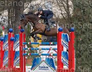 Arioldi F Ambra TosTour 2013- S4 6587 : Ambra, Arezzo Equestrian Centre, Arioldi Francesca, Toscana Tour 2013, foto di Stefano Secchi ©